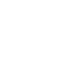 Schönbusch Logo Weiss